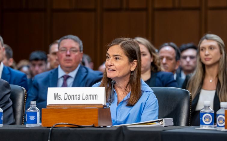 Donna Lemm